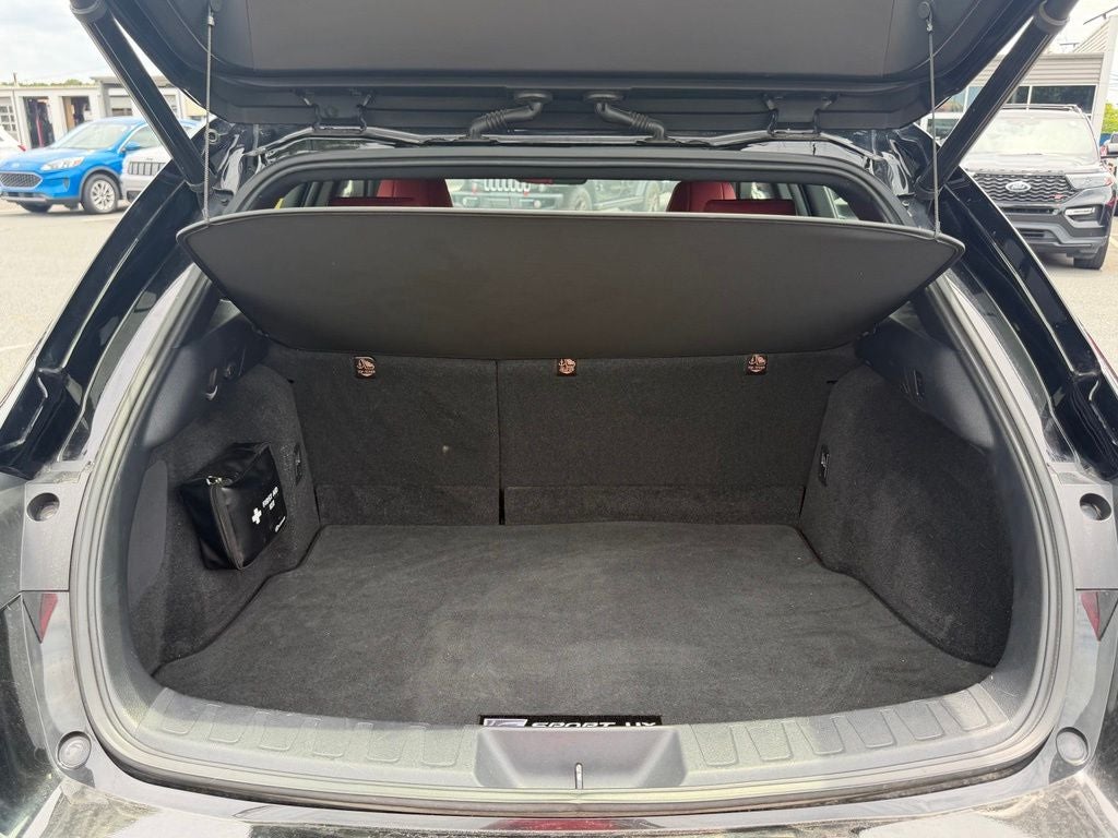 2019 Lexus UX 200 F SPORT