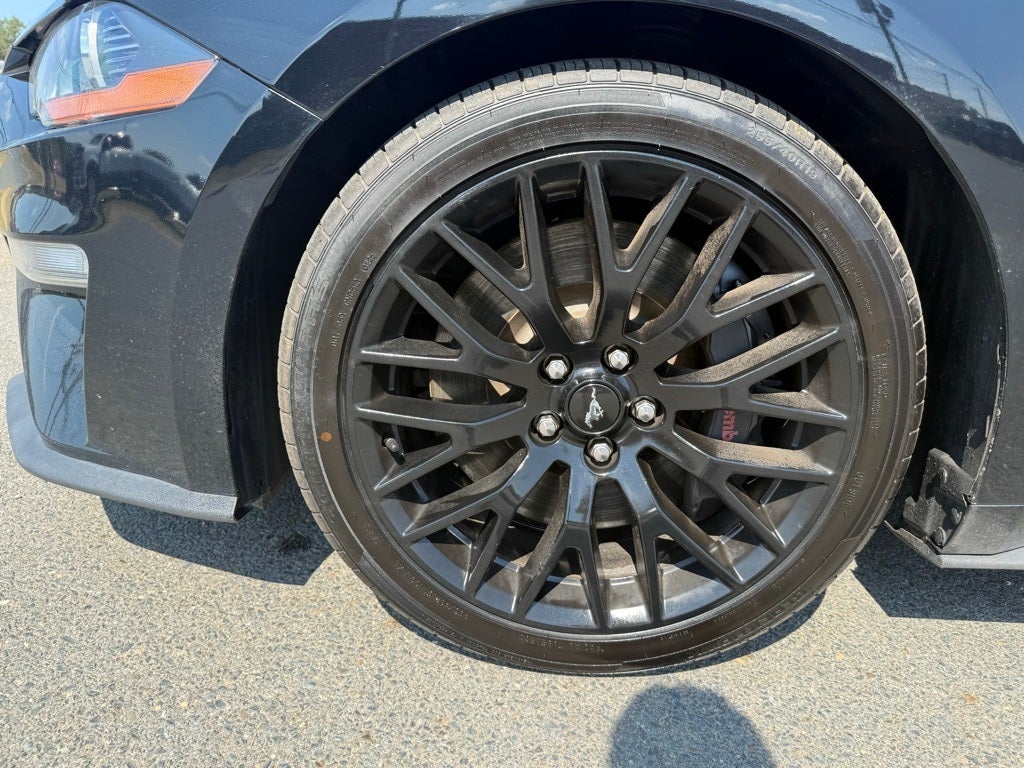 2019 Ford Mustang GT Premium